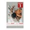 Light Grey Suede Mat Board for 11x17 Frames - Fits 9.5x13 Photos